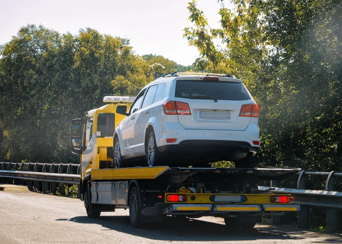 Un vehículo blanco siendo remolcado por una grúa amarilla en plena carretera, rodeado de vegetación. La escena representa un servicio de asistencia en carretera tras una avería o incidente, destacando la importancia de contar con apoyo profesional en situaciones de emergencia vehicular